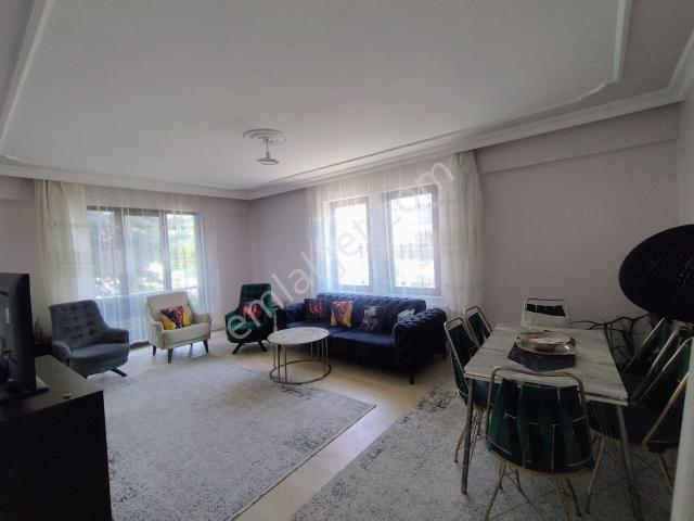 Yalova Merkez, Yalova içerisinde kiralık mülk