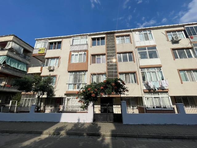 Yalova Merkez, Yalova içerisinde kiralık mülk
