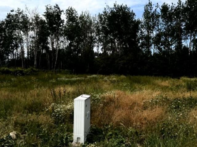 Grunt na sprzedaż w Winiary, Warka