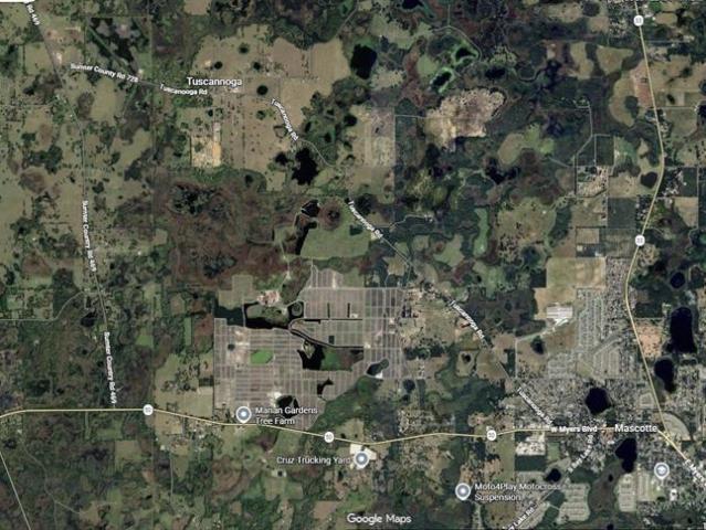Land for sale in Mascotte, Florida