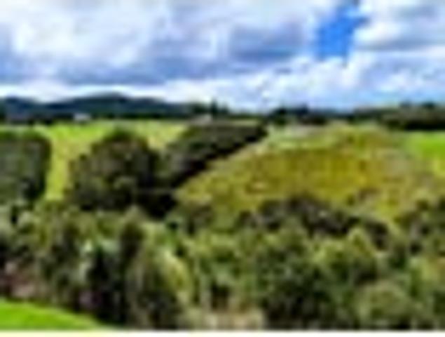 Land for sale in Northland
