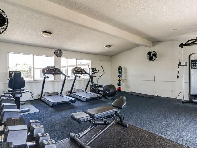 Apartment for rent in Torrance, California