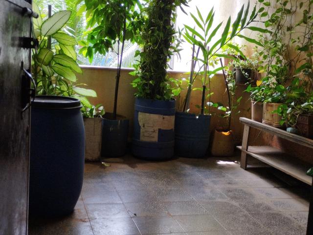 Flat for rent in Kalwa, National Capital Territory Of Delhi