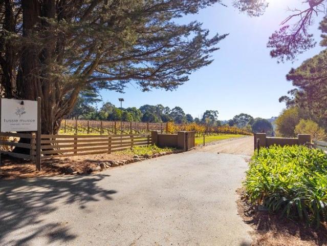Cottage for sale in Camerons Creek, Victoria