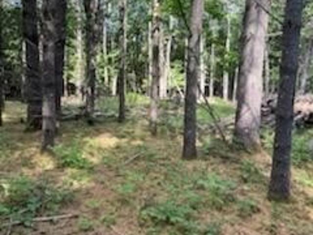 Land for sale in Bridgton, Maine