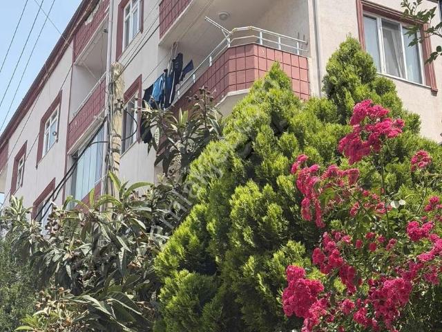 Körfez, Kocaeli içerisinde satılık mülk