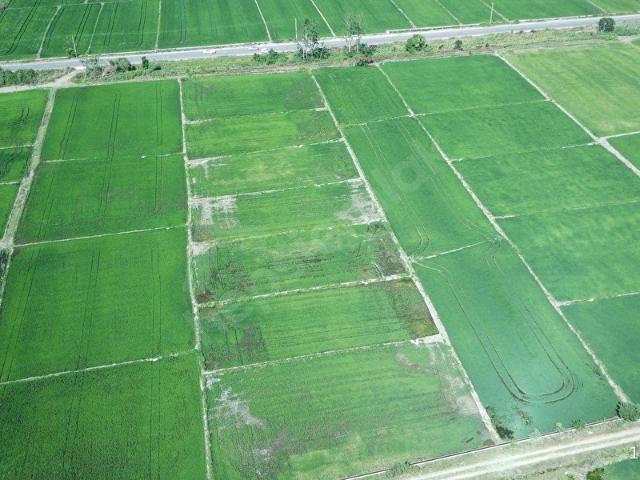 Gönen, Balikesir içerisinde satılık Arsa