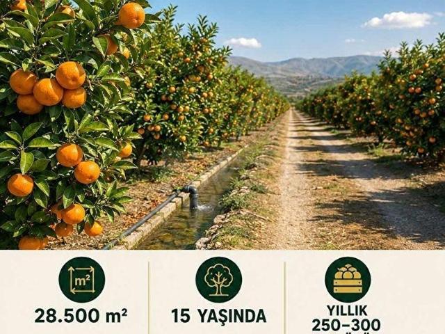 Erzin, Hatay içerisinde satılık mülk