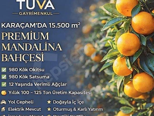 Erzin, Hatay içerisinde satılık mülk