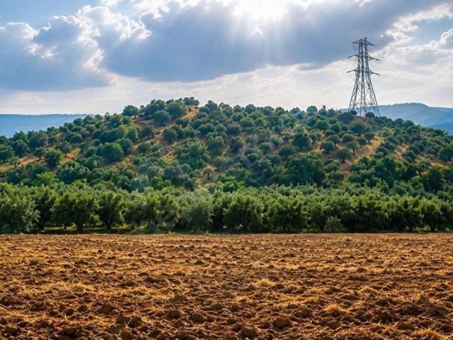 Erzin, Hatay içerisinde satılık Arsa