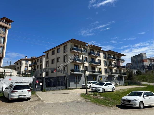 Düzce Merkez, Düzce içerisinde kiralık mülk