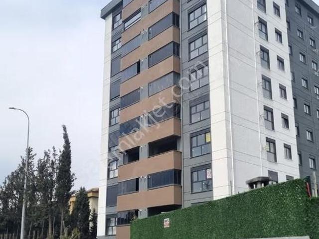 Tuzla, İstanbul içerisinde kiralık mülk