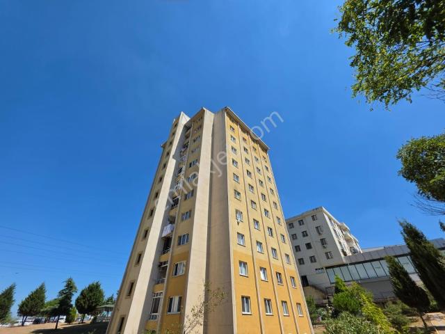 Tuzla, İstanbul içerisinde satılık mülk