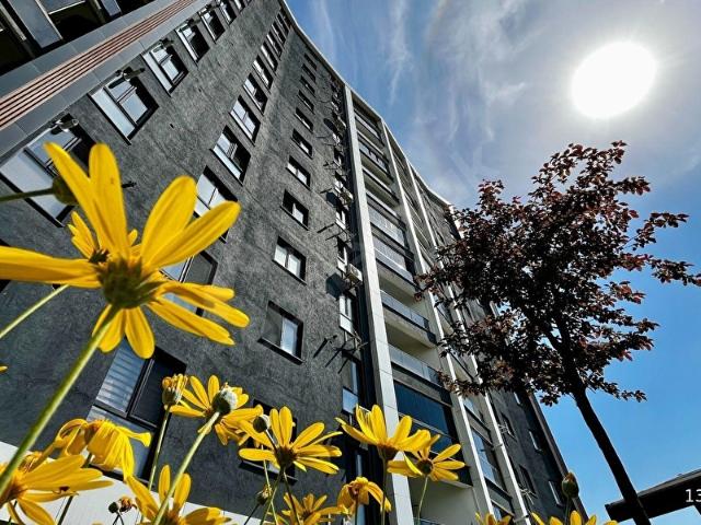 Tuzla, İstanbul içerisinde satılık mülk