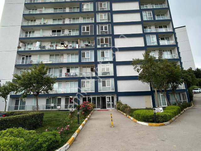 Tuzla, İstanbul içerisinde satılık mülk