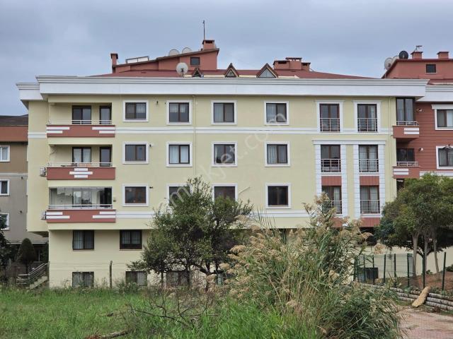 İstasyon Mahallesi, Tuzla içerisinde kiralık mülk