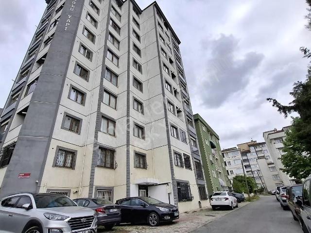 Tuzla, İstanbul içerisinde kiralık mülk