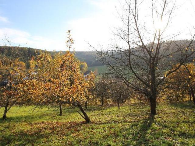 Landwirtschaft kaufen in Hessen