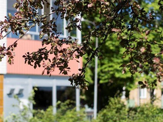 Lägenhet hyra i Ljungby, Kronoberg