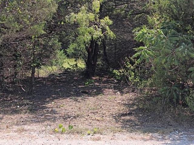Land for sale in Purdon, Navarro County