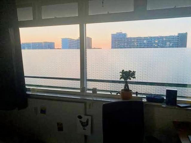 Kamer te huur in Voorhof, Delft