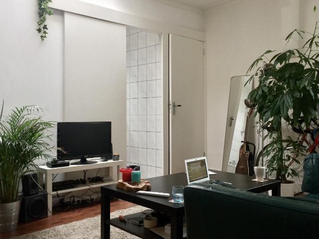Kamer te huur in Grachtengordel, Amsterdam