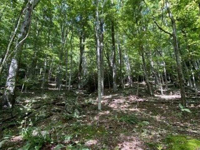 Land for sale in Avery, North Carolina