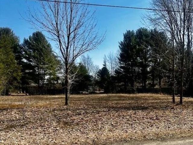 Land for sale in Bear Lake, Michigan