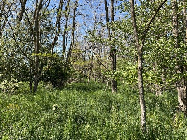 Land for sale in Manistee, Michigan