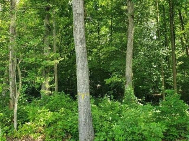 Land for sale in Chesterfield