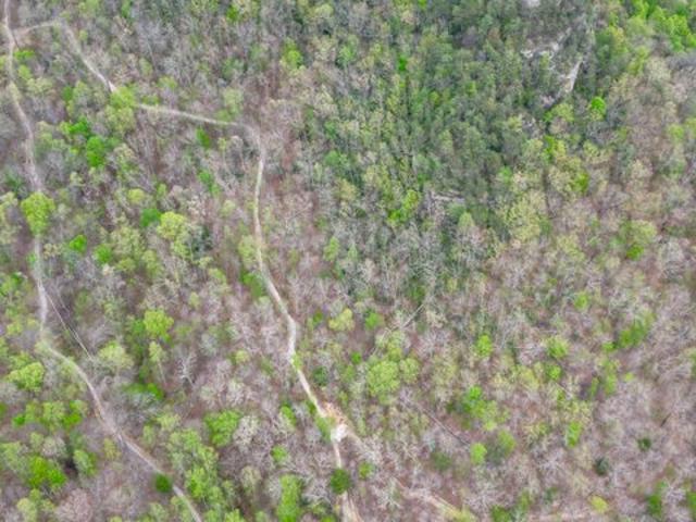 Land for sale in Stanton, Powell County