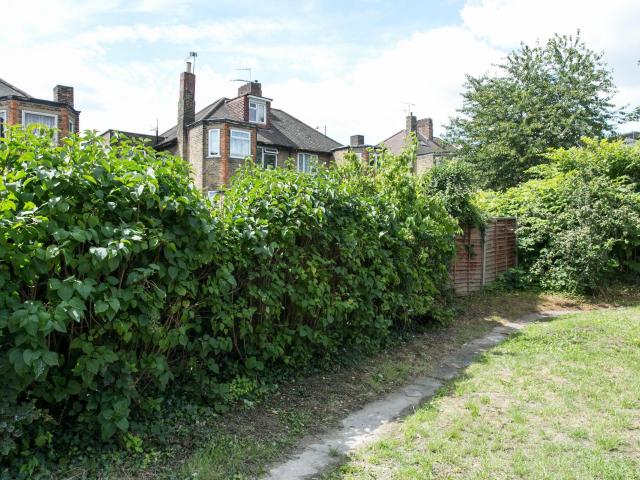 Room for rent in London Borough of Ealing, Greater London