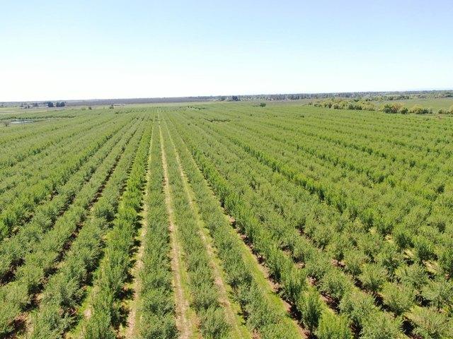 Land for sale in Herald, California