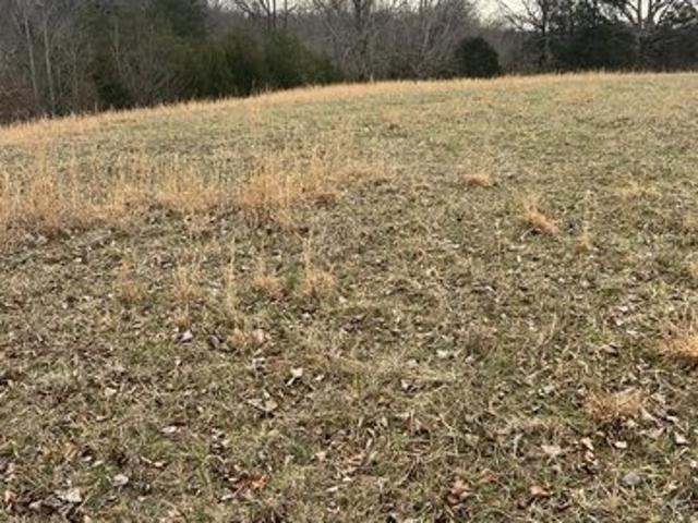 Land for sale in Tennessee