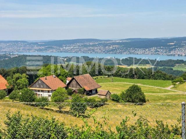 Einfamilienhaus kaufen
