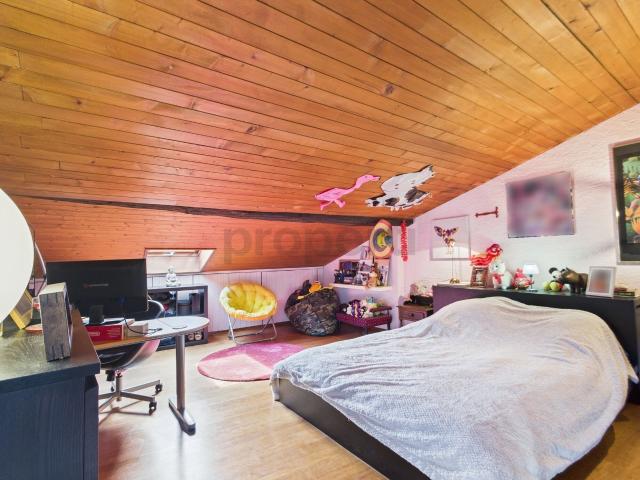 Einfamilienhaus kaufen