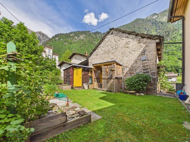 Einfamilienhaus kaufen