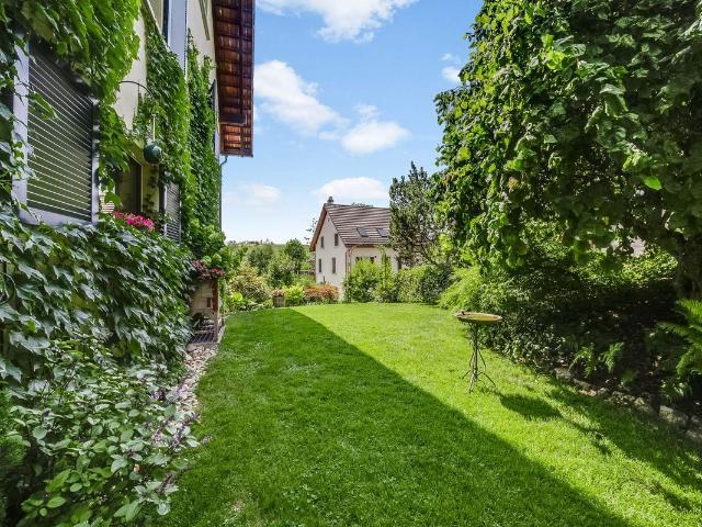 Einfamilienhaus kaufen in Ringwil, Hinwil