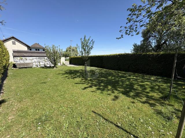 Einfamilienhaus kaufen in Oberbipp, Verwaltungsregion Emmental-Oberaargau