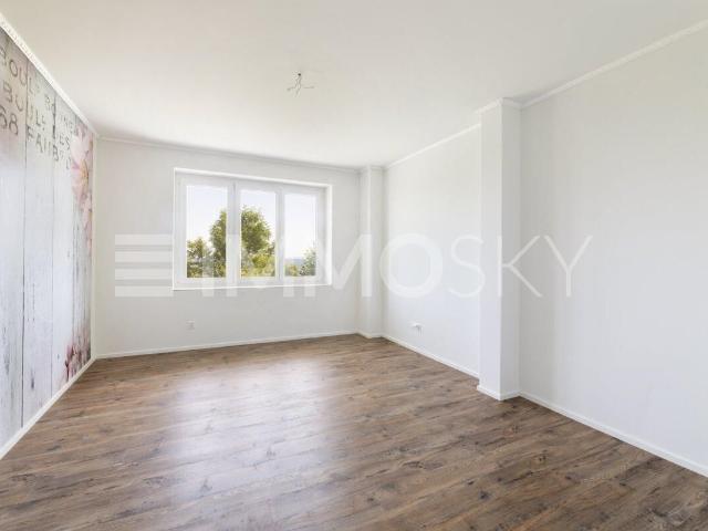 Einfamilienhaus kaufen