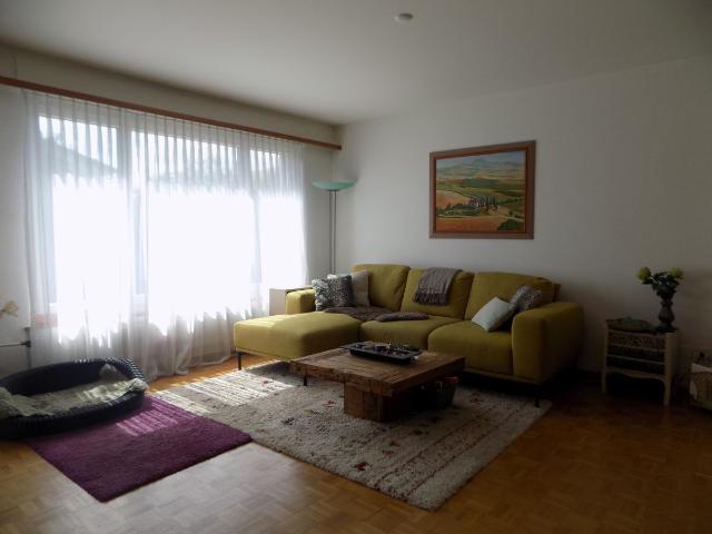 Einfamilienhaus kaufen in Möhlin, Aargau