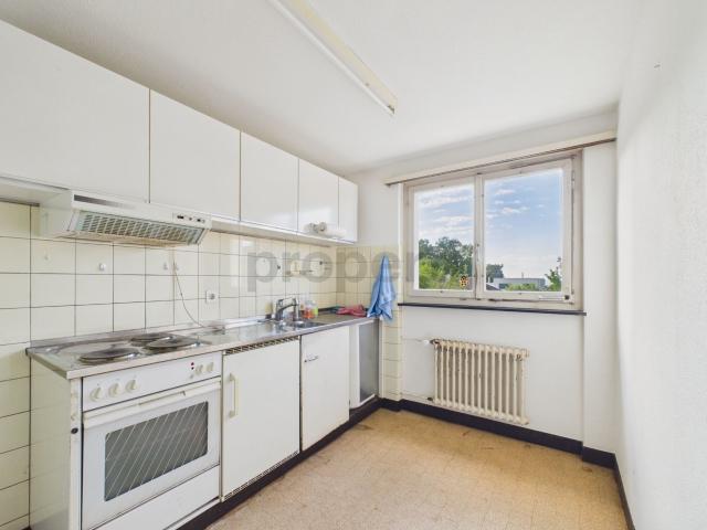 Einfamilienhaus kaufen