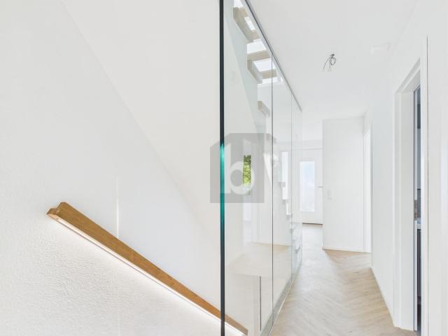 Einfamilienhaus kaufen in Dietikon, Zürich
