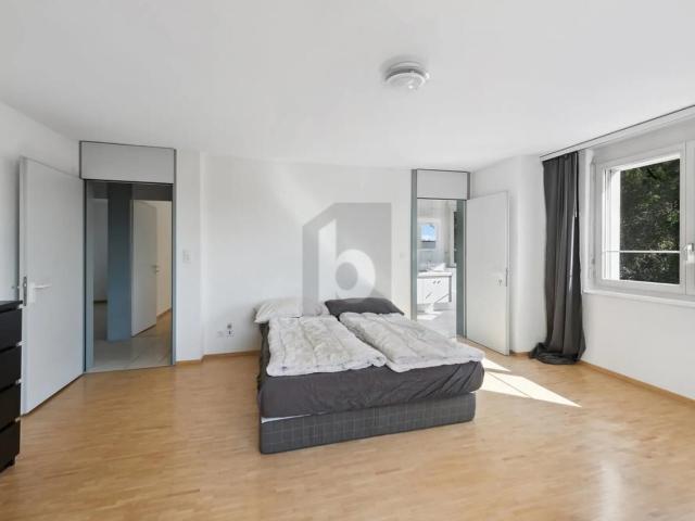 Einfamilienhaus kaufen in Opfikon, Zürich