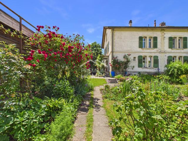 Einfamilienhaus kaufen