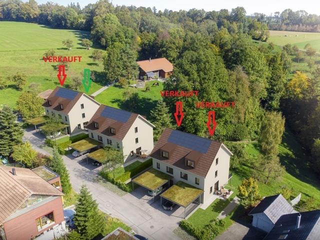Einfamilienhaus kaufen
