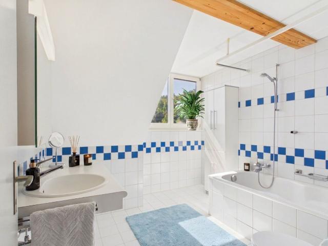 Einfamilienhaus kaufen