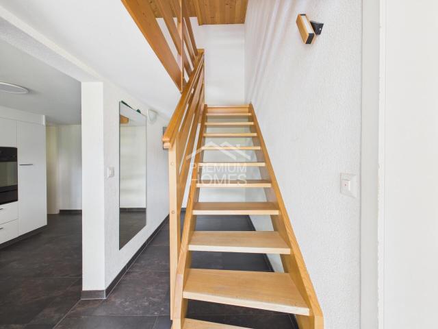 Einfamilienhaus kaufen