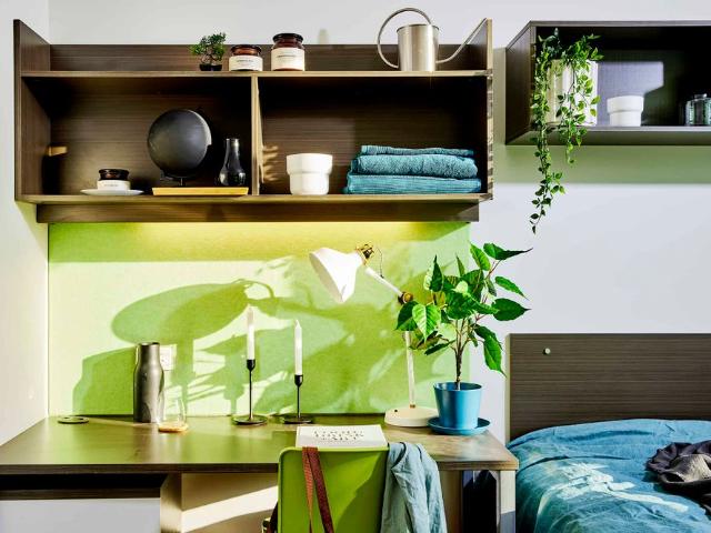 Room for rent in Sydney, New South Wales