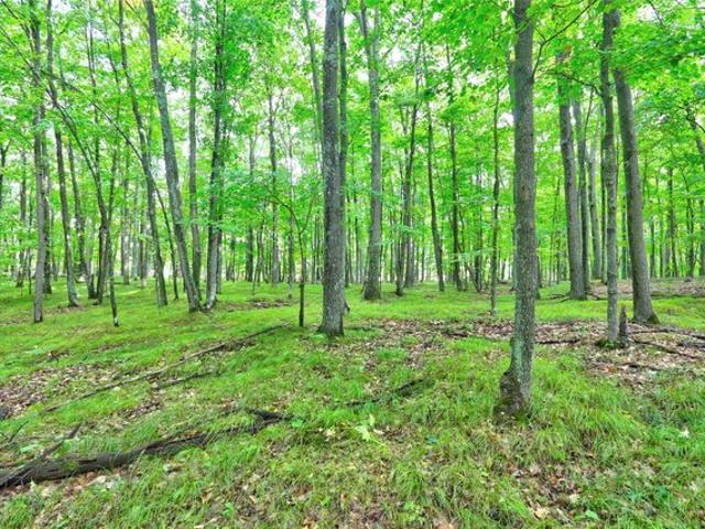 Land for sale in Sawyer, Wisconsin